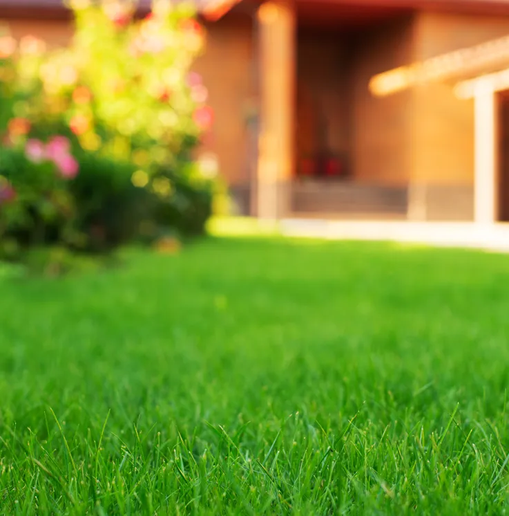 Residential mowing, trimming and edging with battery equipment.