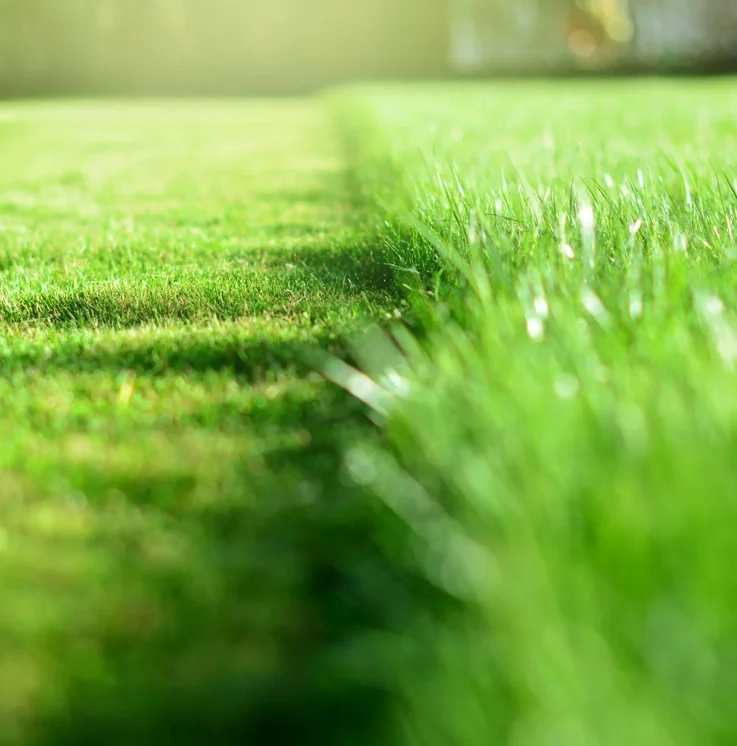 Residential Battery Powered Lawn Mowing and Trimming