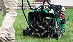 core aerator pulling cores from lawn