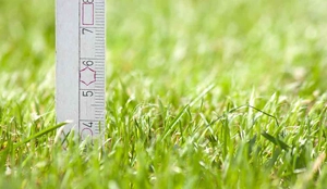 summer lawn mowing in the Columbus Ohio area