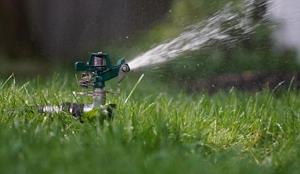 summer watering and landscape care for Columbus area lawns