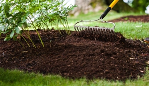 mulch being raked