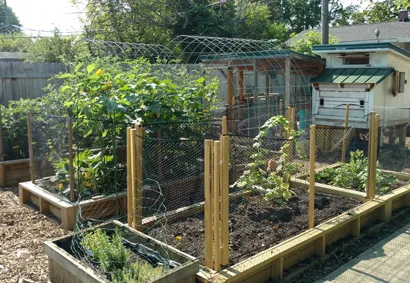 raised bed maintenance