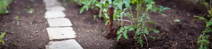 garden view of hand trowel/shovel in rich dirt