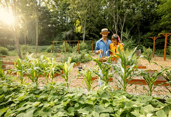 Garden Maintenance Services