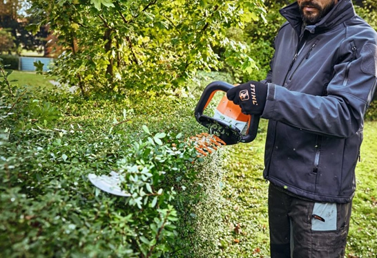 Lawn Overseeding for existing lawns