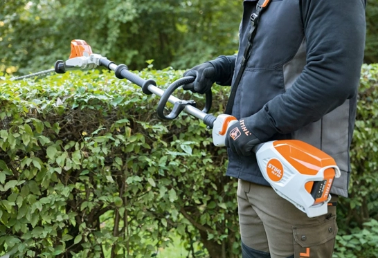 columbus bush trimming