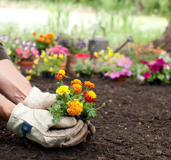 mulch installation columbus