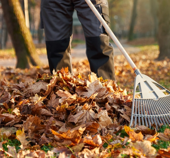 spring and fall clean-up columbus