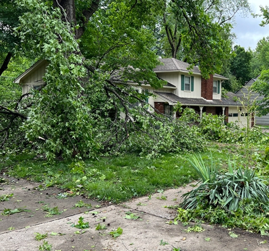 storm clean-up columbus