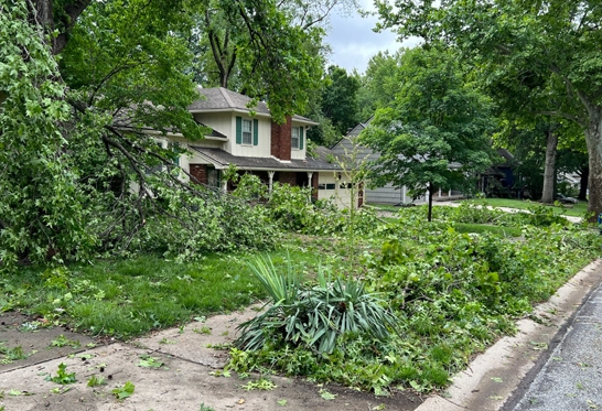 Storm Debris Clean-up