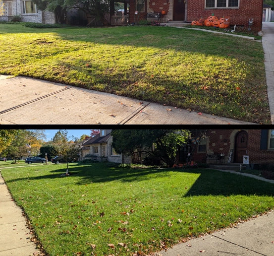 lawn renovation columbus
