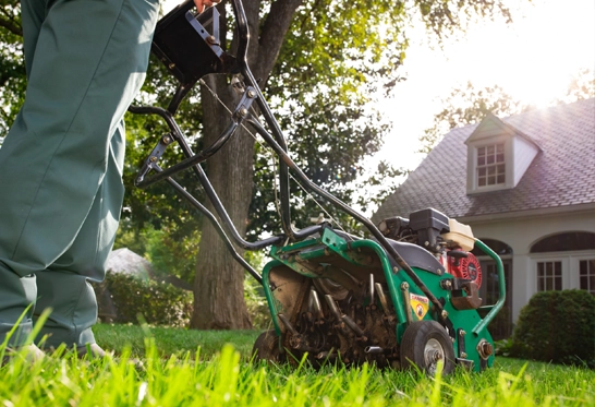Garden Maintenance and Services