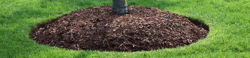 grass and hand hovering above indicating lawn care