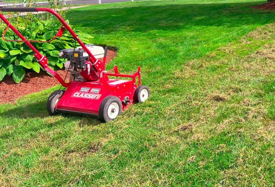 lawn care dethatching in Clintonville
