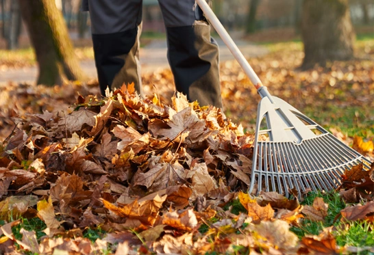 Spring and Fall cleanup