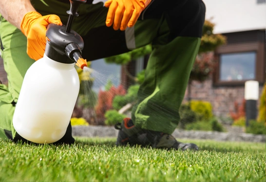 Home Maintenance Handyman Services