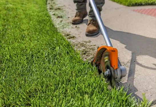 Lawn Care Maintenance Yard and Landscape