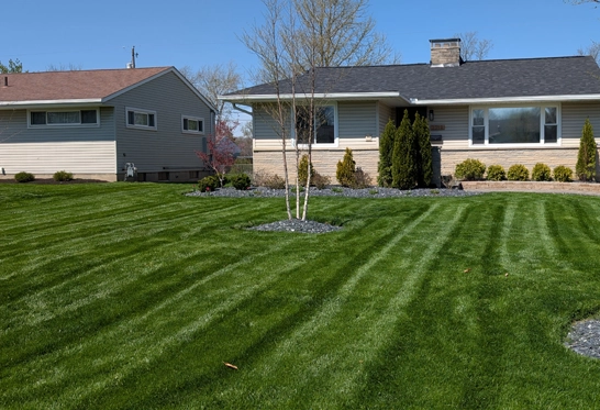 Columbus Area Lawn Care & Maintenance